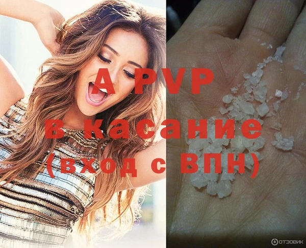 стаф Алексин