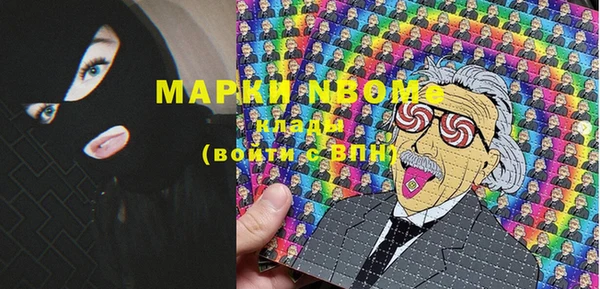 стаф Алексин