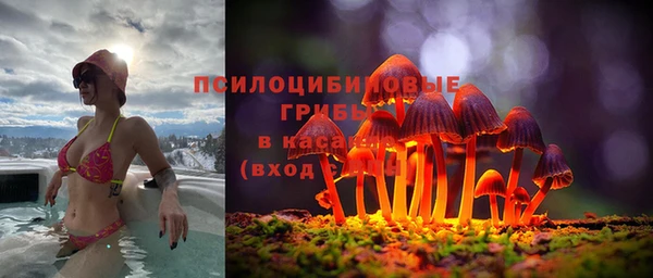ALPHA-PVP Алексеевка
